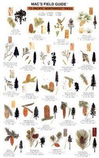 Produktbild: Mac's Field Guides: Northwest Trees