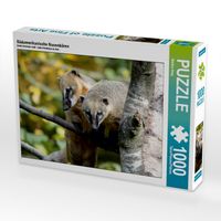 Produktbild: CALVENDO Puzzle S&uuml;damerikanische Nasenb&auml;ren | 1000 Teile Lege-Gr&ouml;&szlig;e 64x48cm Foto-Puzzle f&uuml;r gl&uuml;ckliche Stunden