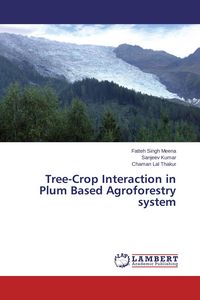 Produktbild: Tree-Crop Interaction in Plum Based Agroforestry system