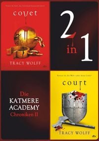 Produktbild: Die Katmere Academy Chroniken II