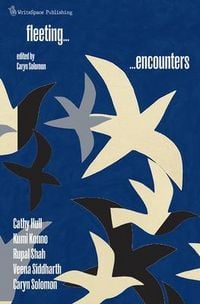 Produktbild: Fleeting Encounters