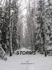 Produktbild: Storms (Steven Thomas, #4)