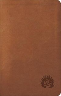 Produktbild: ESV Reformation Study Bible, Condensed Edition - Light Brown, Leather-Like