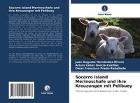 Produktbild: Socorro Island Merinoschafe und ihre Kreuzungen mit Pelibuey