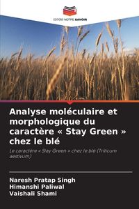 Produktbild: Analyse mol&eacute;culaire et morphologique du caract&egrave;re ' Stay Green ' chez le bl&eacute;
