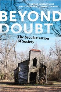 Produktbild: Beyond Doubt