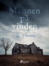 Produktbild: Mannen p&aring; vinden och andra noveller