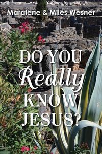 Produktbild: Do You Really Know Jesus?