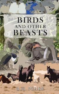 Produktbild: Birds and Other Beasts