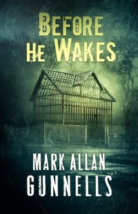 Produktbild: Before He Wakes