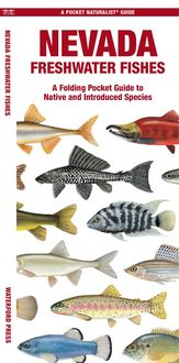 Produktbild: Nevada Freshwater Fishes