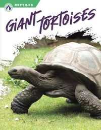 Produktbild: Giant Tortoises