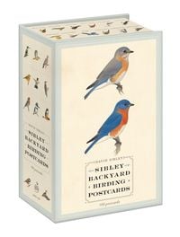 Produktbild: Sibley Backyard Birding Postcards