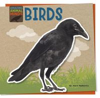 Produktbild: Birds