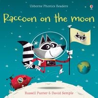 Produktbild: Raccoon on the Moon