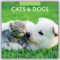 Bild vom Artikel Cats & Dogs – Katzen & Hunde 2024 – 16-Monatskalender vom Autor Red Robin Publishing Ltd