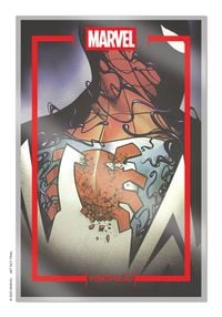 Produktbild: The Marvel Portfolio of Mike del Mundo - Spider-Man