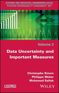 Produktbild: Data Uncertainty and Important Measures