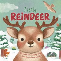 Produktbild: Nature Stories: Little Reindeer