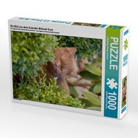 Produktbild: CALVENDO Puzzle Ein Bild aus dem Kalender Britisch Kurz | 1000 Teile Lege-Gr&ouml;&szlig;e 64x48cm Foto-Puzzle f&uuml;r gl&uuml;ckliche Stunden