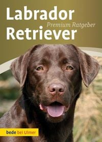 Produktbild: Labrador Retriever