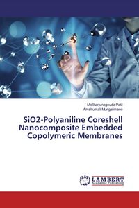 Produktbild: SiO2-Polyaniline Coreshell Nanocomposite Embedded Copolymeric Membranes