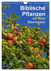 Produktbild: Biblische Pflanzen mit ihren Bibelversen (Wandkalender 2026 DIN A4 hoch), CALVENDO Monatskalender