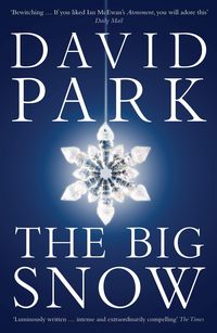 Produktbild: The Big Snow
