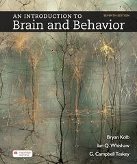 Produktbild: An Introduction to Brain and Behavior