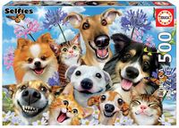Bild vom Artikel Puzzle Educa Hunde und Katzen Selfie 500 Teile vom Autor 