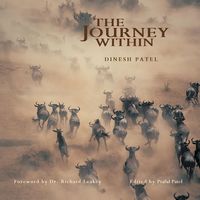 Produktbild: The Journey Within
