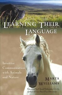 Produktbild: Learning Their Language