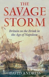 Produktbild: The Savage Storm
