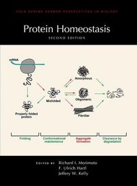 Produktbild: Protein Homeostasis, Second Edition