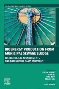 Produktbild: Bioenergy Production from Municipal Sewage Sludge