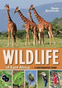 Produktbild: Richards, D: Wildlife of East Africa