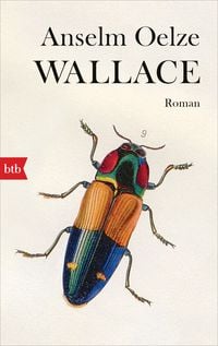 Produktbild: Wallace