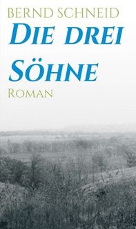 Produktbild: Die drei S&ouml;hne