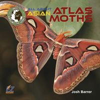 Produktbild: All about Asian Atlas Moths