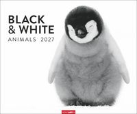 Produktbild Black & White Animals 2027