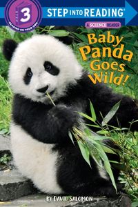 Produktbild: Baby Panda Goes Wild