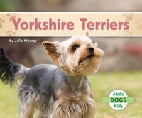 Produktbild: Yorkshire Terriers