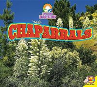 Produktbild: Chaparrals