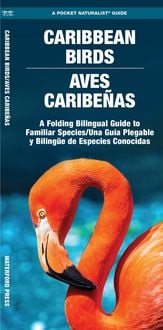 Produktbild: Caribbean Birds/Aves Caribenas, 2nd Ed