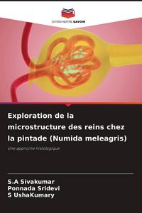 Produktbild: Exploration de la microstructure des reins chez la pintade (Numida meleagris)