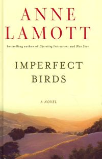 Produktbild: Imperfect Birds