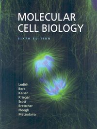 Produktbild: Molecular Cell Biology & Solutions Manual