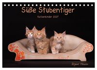 Produktbild: S&uuml;&szlig;e Stubentiger - Katzenkinder (Tischkalender 2027 DIN A5 quer), CALVENDO Monatskalender