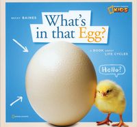 Produktbild: Zigzag Whats in That Egg