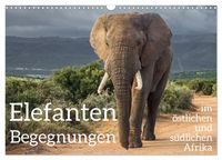 Produktbild: Elefanten Begegnungen im &ouml;stlichen und s&uuml;dlichen Afrika (Wandkalender 2026 DIN A3 quer), CALVENDO Monatskalender